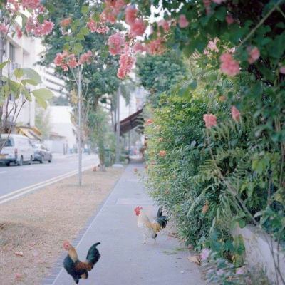 万博·体育-登录入口