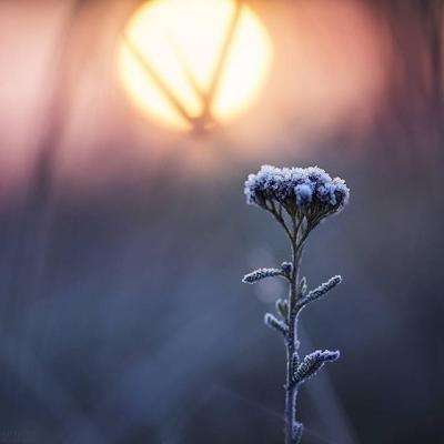 博鱼APP综合体育