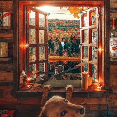 利发app手机登陆·官方网站