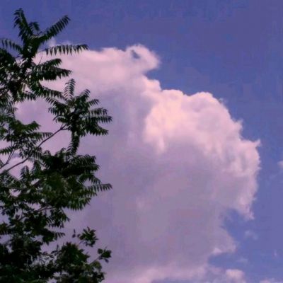 澳门王中王100%的资料app下载